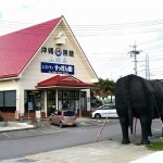 【読谷村】すっぽん館